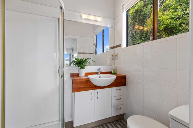 43 Carlton Street Bellevue_30