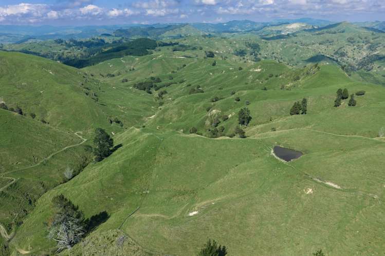 1678 Tiniroto Road Waerenga-O-Kuri_11