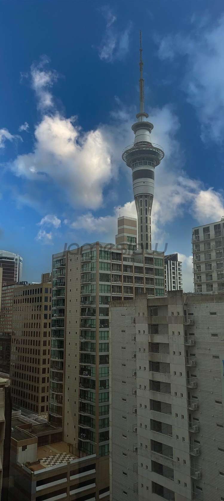 Part Level 20/151 Queen Street City Centre_10