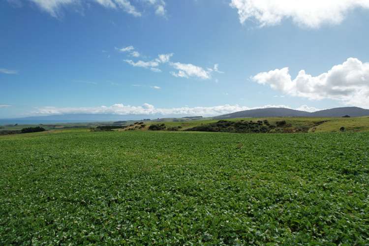 300 Waterhouse Road Orepuki_7