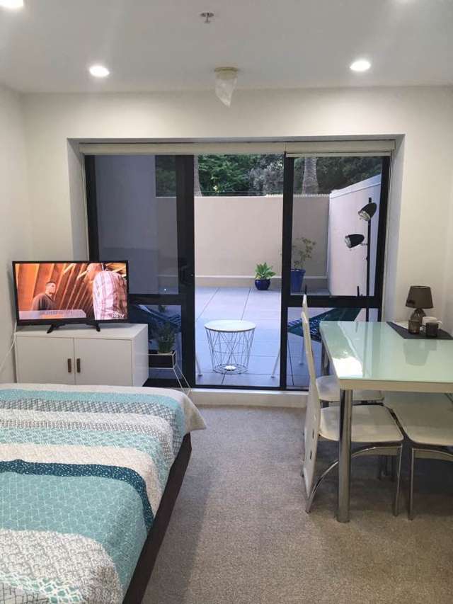 1 Furnished, Studio APT