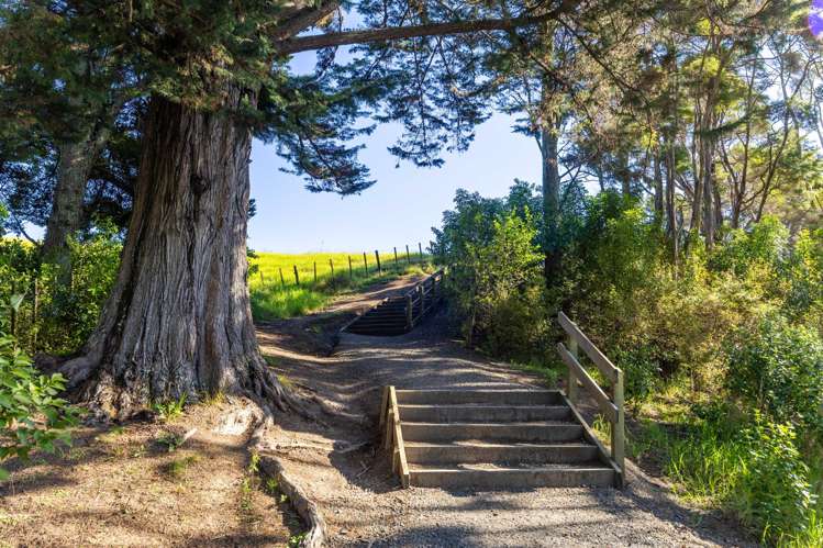 70 Dawson Road Snells Beach_14