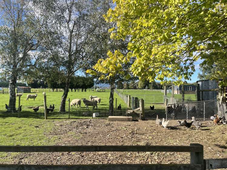 192 Riccarton Road West Mosgiel_2