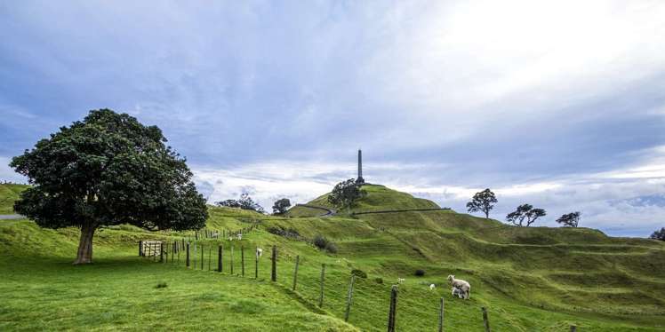 4 Raurenga Avenue Royal Oak_3