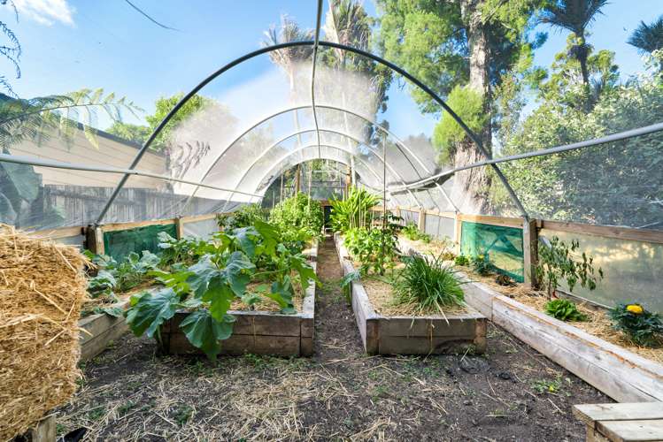 27 Hollywood Avenue Titirangi_16