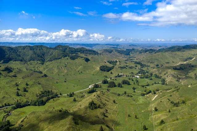 Substantial Sheep & Beef Farming Opportunity