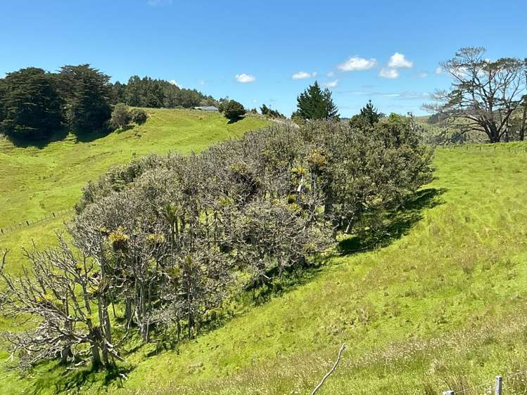 Lot 3 DP539905 Dill Road Kaipara Flats_14