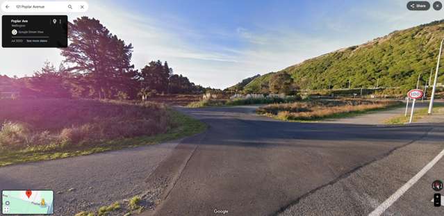 121 Poplar Avenue Raumati South_3