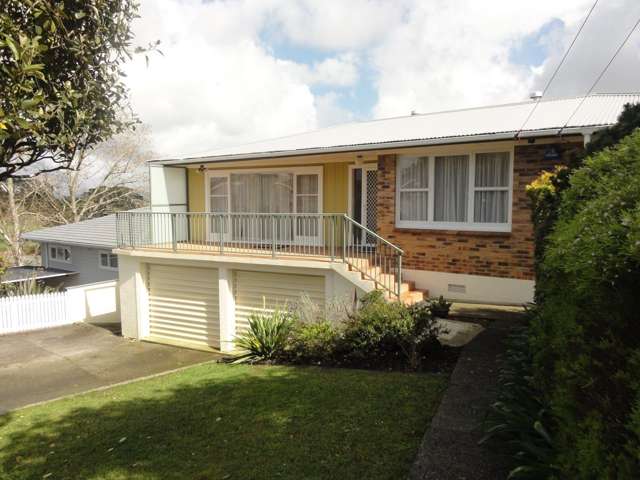 45 Anita Avenue Mount Roskill_2