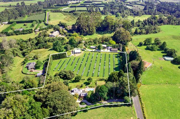 792a No 2 Road Te Ranga_14