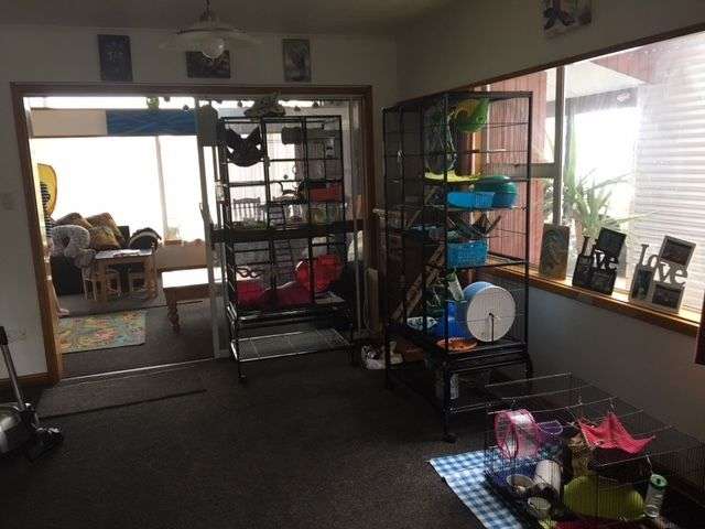 72 Allens Road Allenton_4