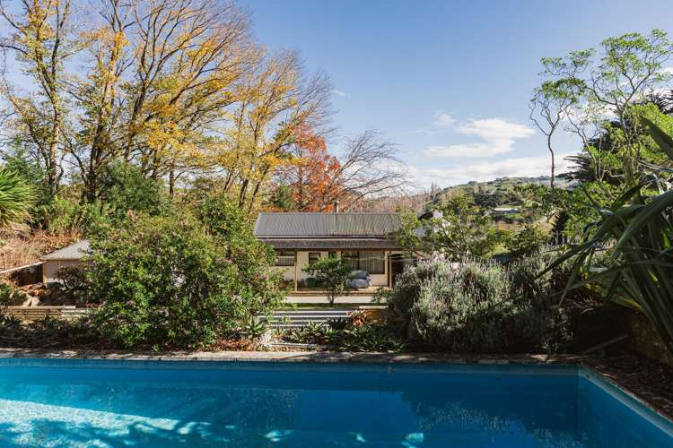 164 Hill Road Eskdale_4