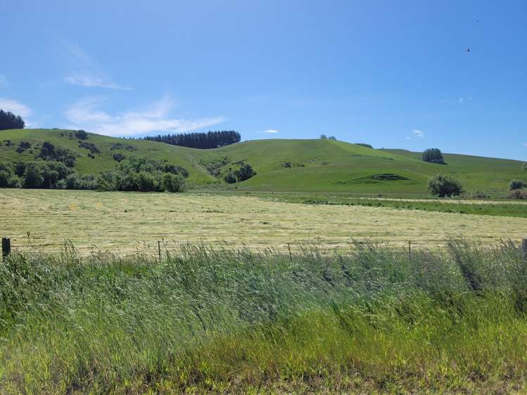 575 Tuapeka Flat Road Lawrence_22