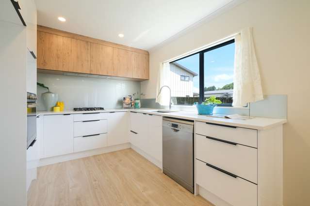 1175a Dominion Road Mount Roskill_3