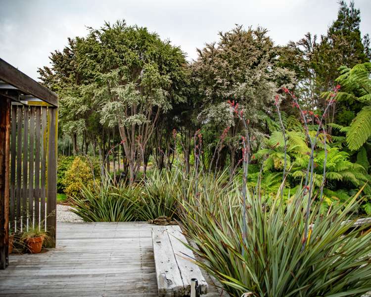 239 Redwood Street Witherlea_12