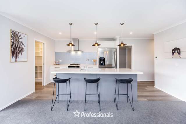 107 Mawai Hakona Drive Wallaceville_4