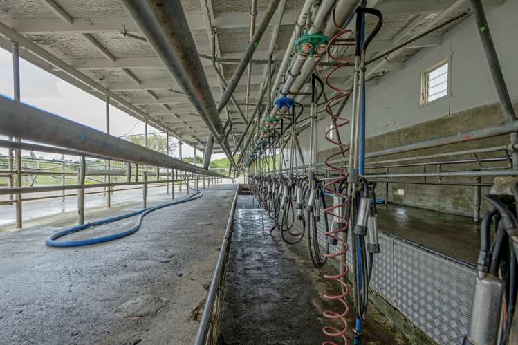 250 North Road Eketahuna_8