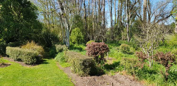 25 Browns Road Clinton and Surrounds_7