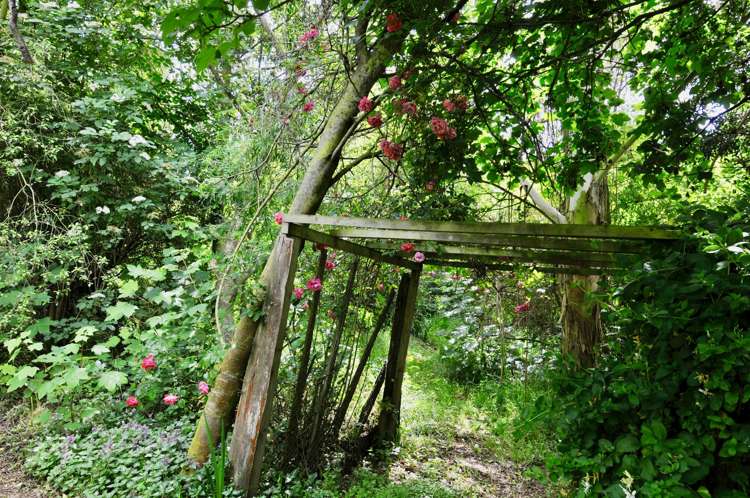 669 Whitstone-Five Forks Road Five Forks and Surrounds_32