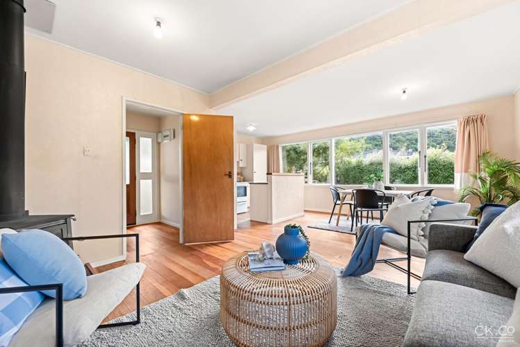 63f Black Beech Street Birchville_4