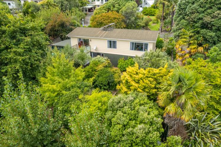 52 Stansell Avenue Tahunanui_10