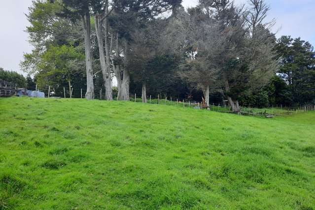 50c George Crescent Buckland_2