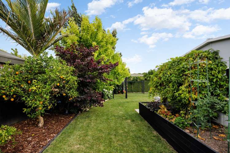 43 Berkley Avenue Hillcrest_21