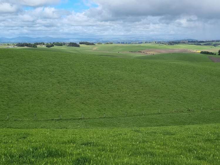 1628 Tuapeka West Road and 275 Bush Road Tuapeka West_14