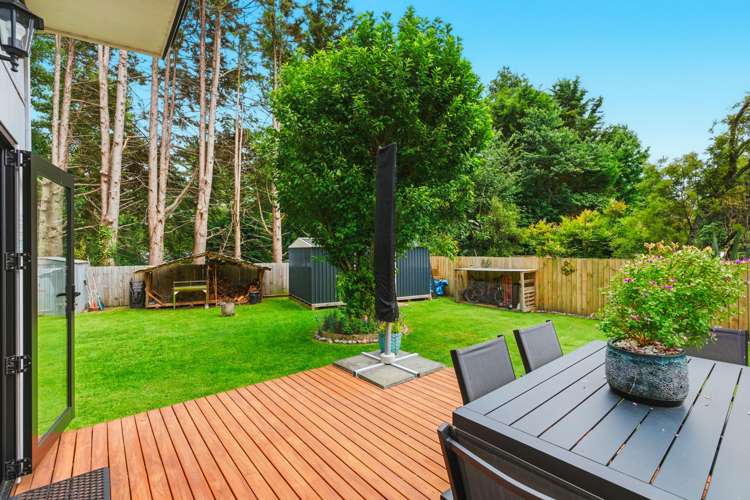 617 River Road Broadlands Forest_14