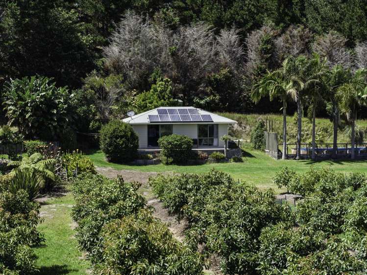 101 Turk Valley Road Waiharara_28