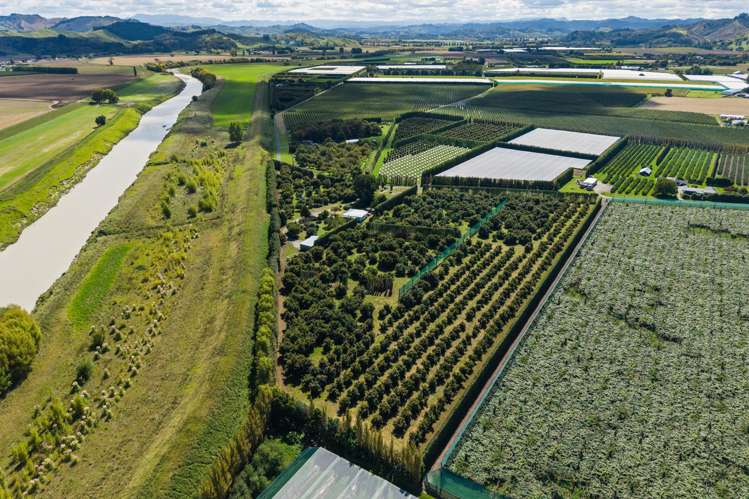 42 Ferry Road Waerenga-A-Hika_7