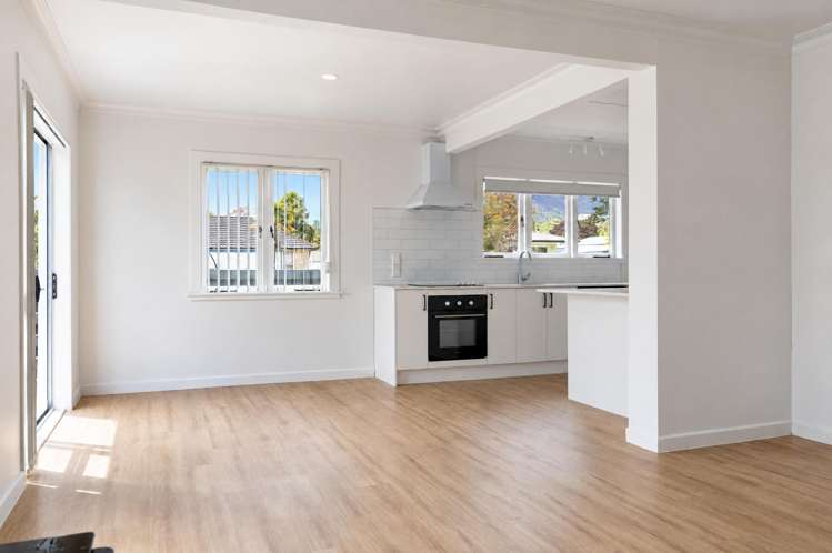 55 Brice Street Tauhara_5