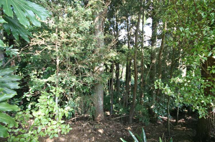 22 Paulownia Place Totara Heights_17