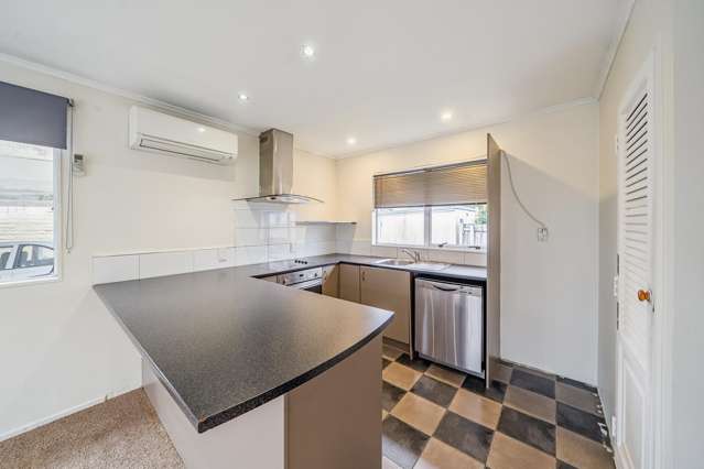 2/8 Wilford Street Wellington_3