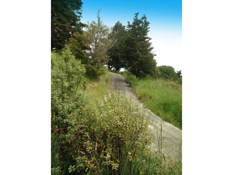 24 Noakes Hill Road Puhoi_12