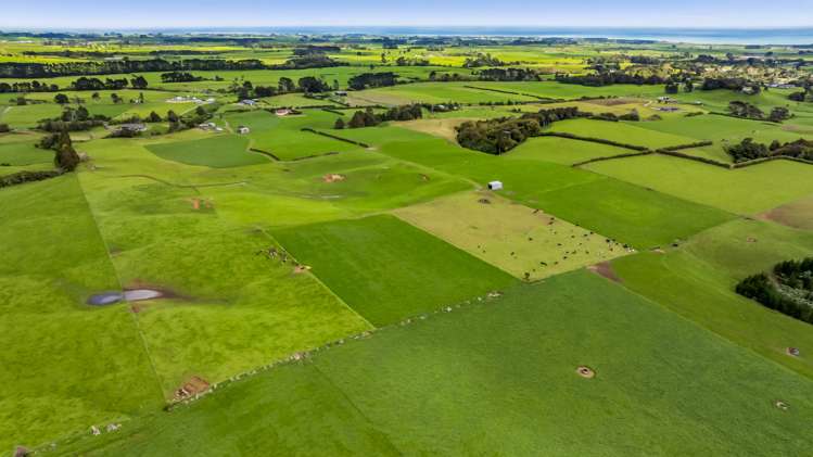 165 Oxford Road Okato_13