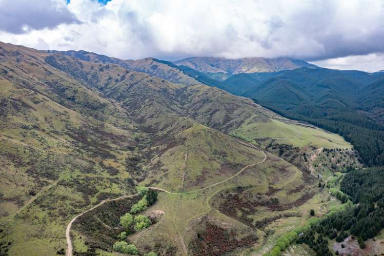 1731 Ram Paddock Road Ashley Forest_9