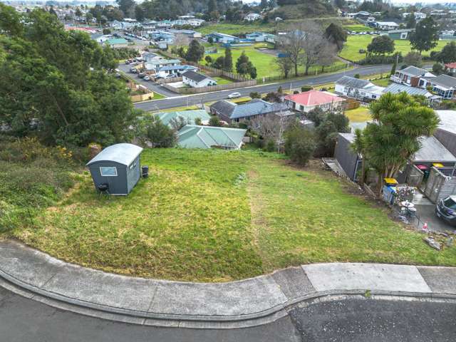 19 Ohinemuri Place Paeroa_1