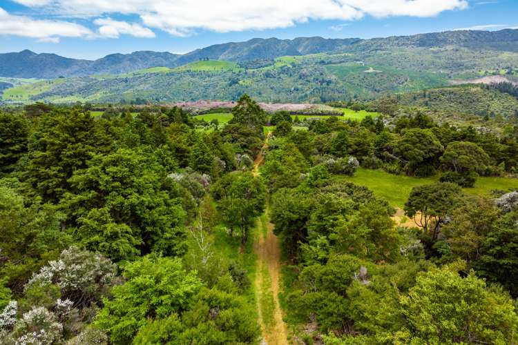 6754 State Highway 12 Waimamaku_16