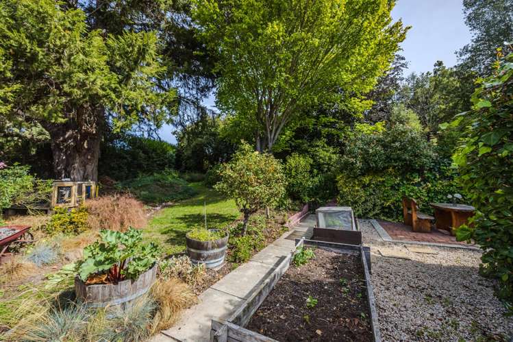 23-27 Campbell Street Duntroon_16