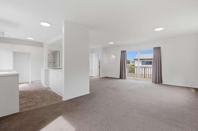 83A Botanical Road Tauranga South_3