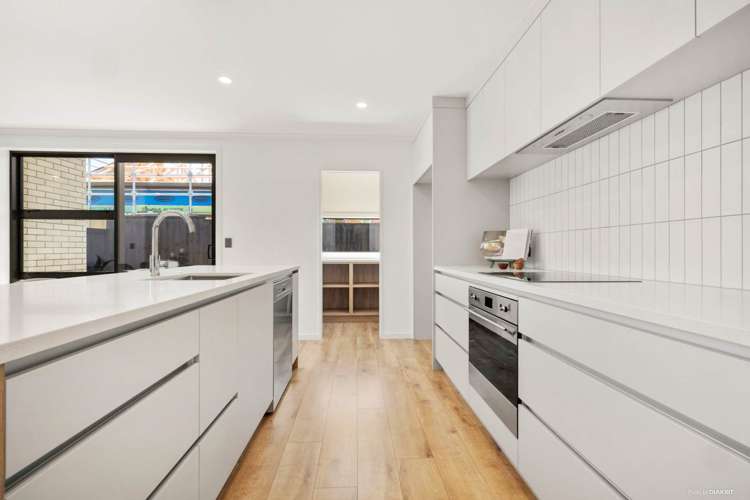 100 Metoriti Crescent Karaka_18