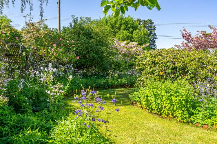 60 Richmond Road Carterton_15