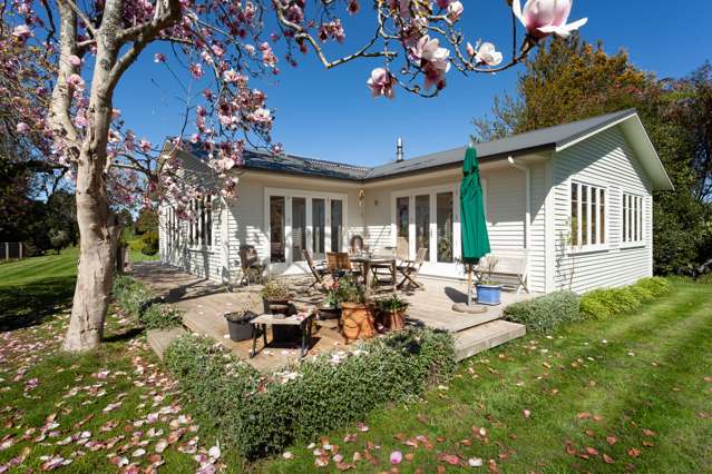 306 Morgan Road Matamata_1