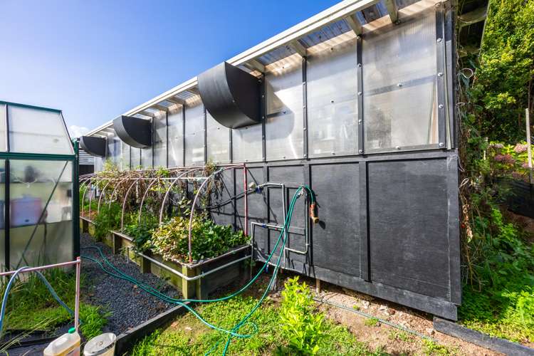 11 Piccadilly Circus Snells Beach_35