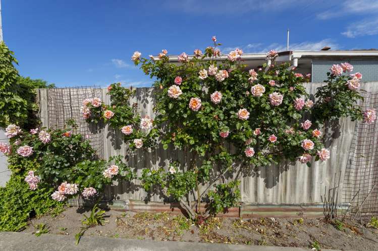 3/572 Gloucester Street Linwood_12