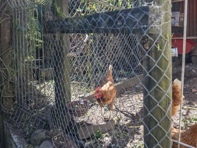 54 Scotia Street Wakatu_19