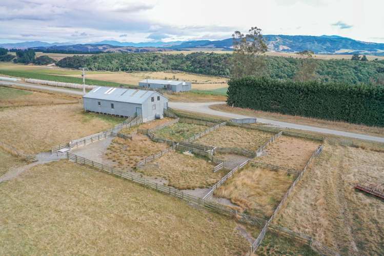 479 South Boundary Road Waitohi_4