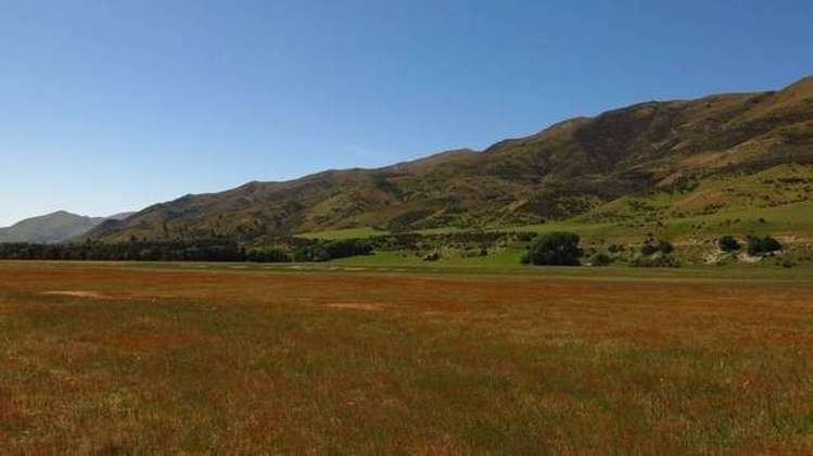 981 Luggate-Tarras Road Westland Surrounds_6
