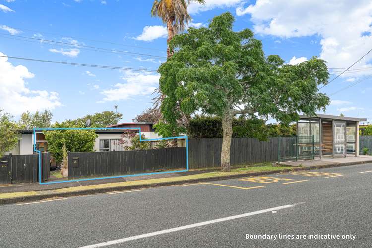 3/87 Nikau Street New Lynn_10